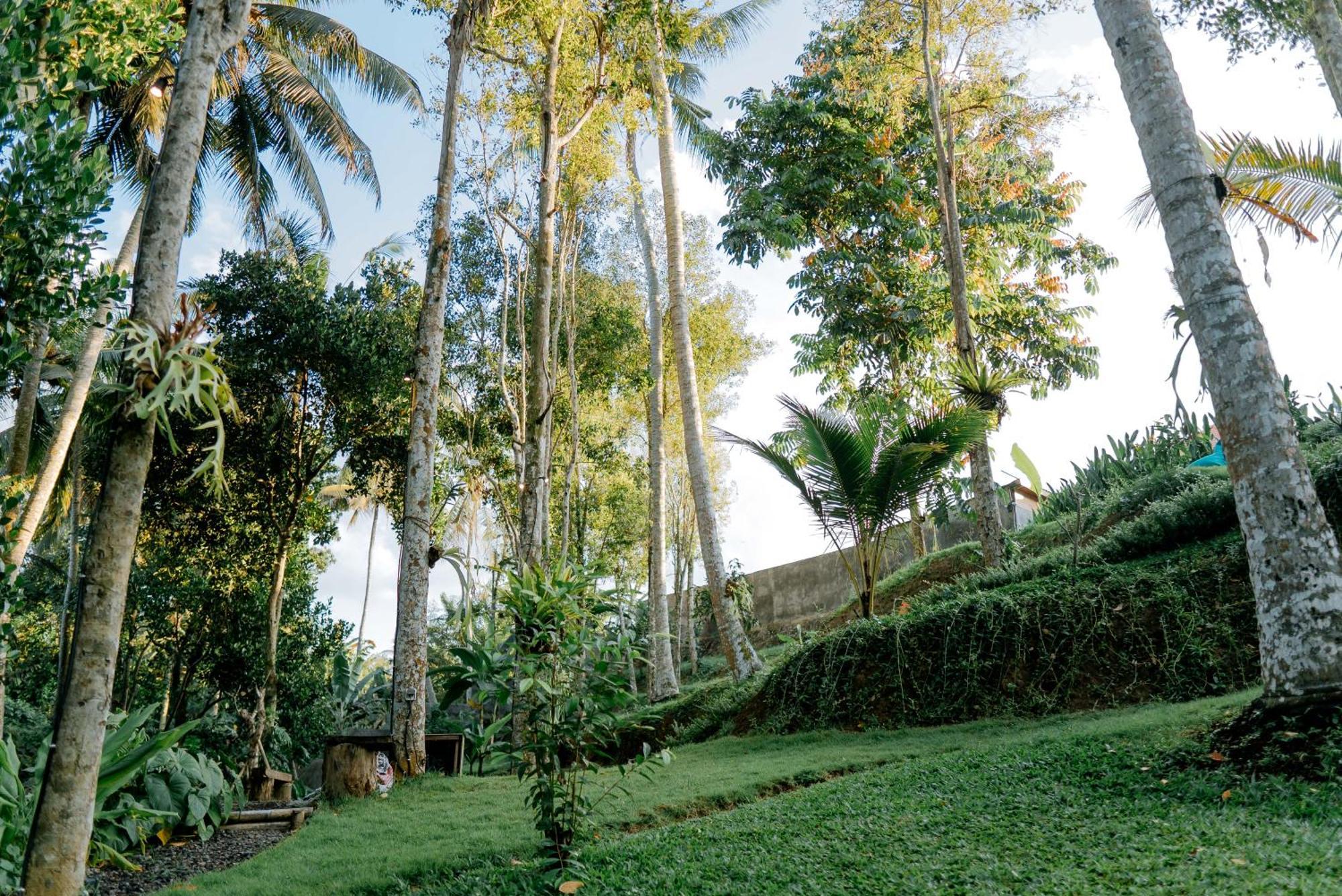 Bali Made Escape Hotel Payangan Exterior foto